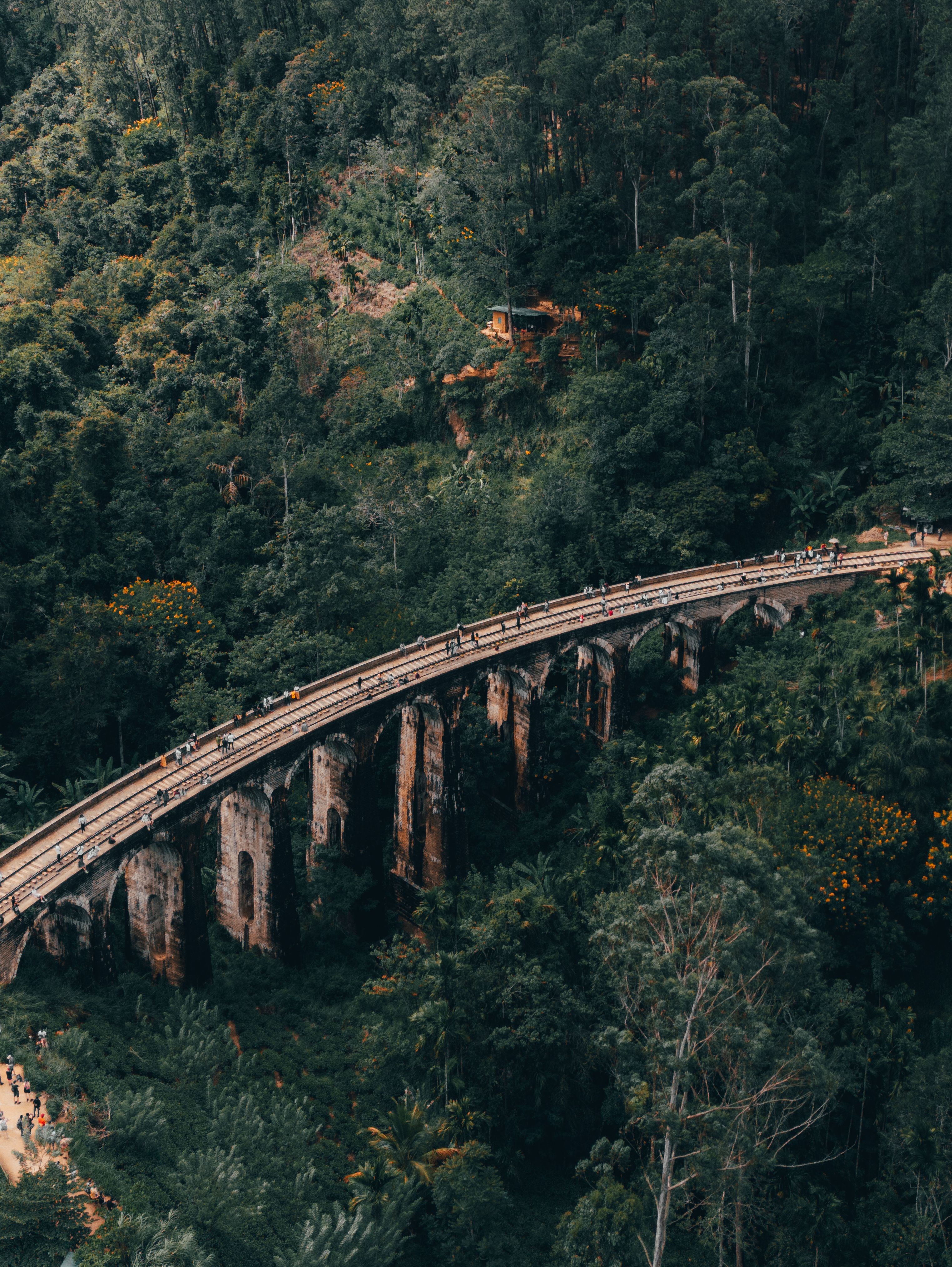 pexels batagov 29644512