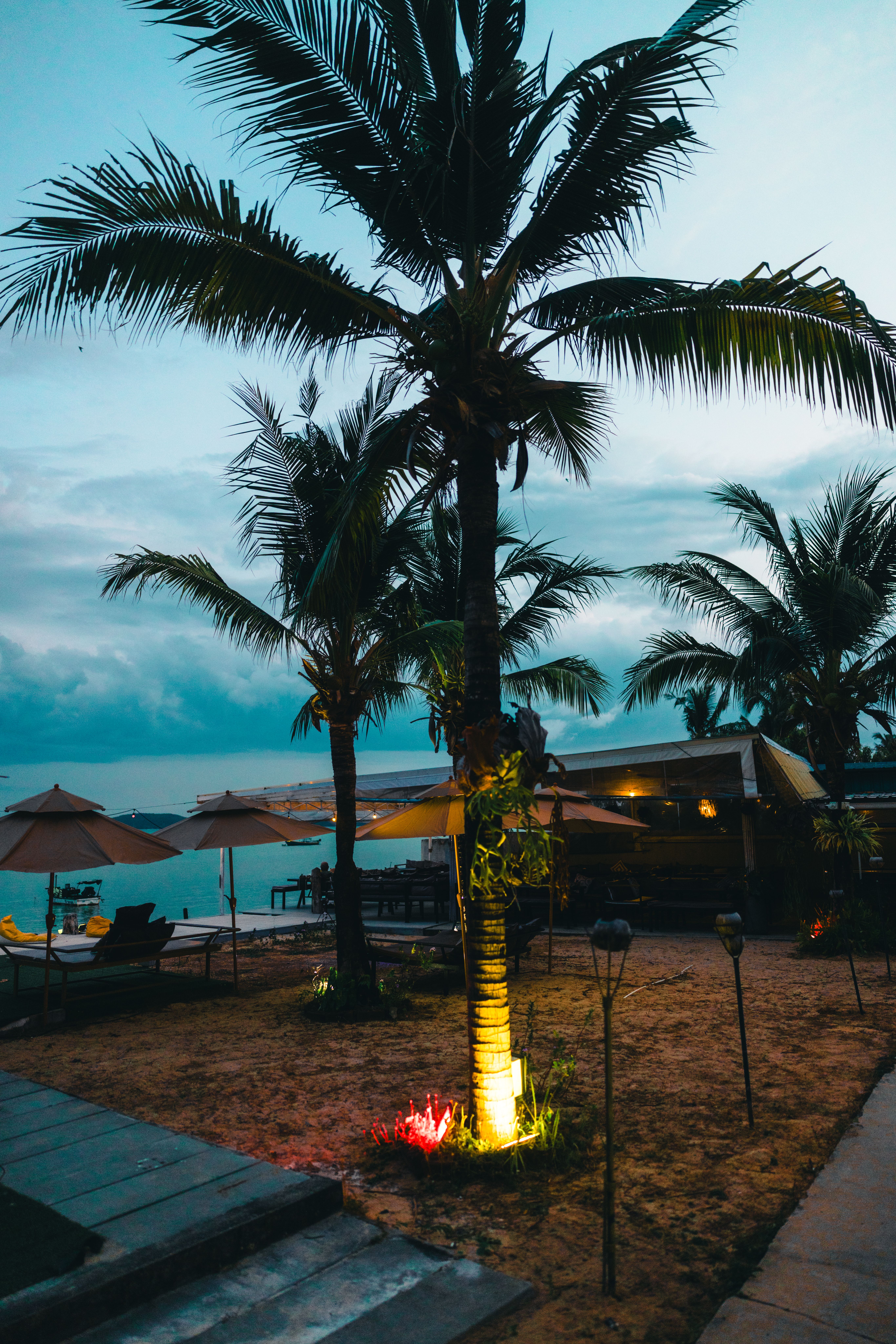 pexels lureofadventure 31029730
